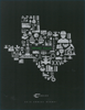 CARRIZO OIL & GAS INC Annual Report